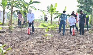 Gubernur Ridwan Kamil Temani Wapres Tinjau Lokasi Program Integrated Farming di Purwakarta