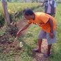 Warga Kampung Mekarsari Cianjur Dihebohkan Penemuan Janin Bayi yang Dikubur di Pematang Sawah