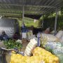 Sempat Turun, Harga Sayuran di Petani Kembali Menggeliat