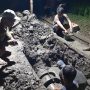 Sering Bocor, Perumdam Tirta Mukti Cianjur Siagakan Petugas Perbaikan