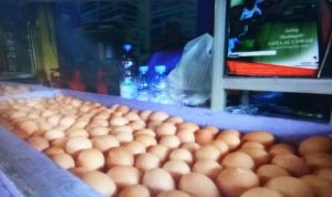 Telur Puyuh Pun Juga Ikut Naik Rp40 ribu per kilogram