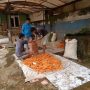 Diskoperdagin Sebut Harga Sayuran Mahal karena Petani Memilih Menjual Keluar Cianjur