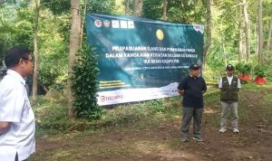 Spilornis cheela Dilepasliarkan di Hutan Daerah Kiarapayung Sumedang
