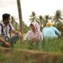 Kontribusikan Pertumbuhan Ekonomi Inklusif dan Berkelanjutan: BRI Dorong Pengembangan Ekonomi Lokal Melalui Pemberdayaan Desa