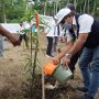 PLN Peduli Dukung Pengembangan Agroforestry, Tingkatkan Dampak Positif Penghijauan