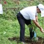 PLN Peduli Serahkan 3.000 Pohon di Hari Menanam Pohon Indonesia
