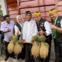 Selamatkan Pangan di Desa, Kang Emil Luncurkan Program Leuit Tapal Desa