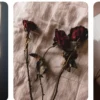 bunga mawar layu instagram (sumber pinterest)