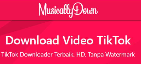 Musical TikTok Downloader, Situ Download Sound TikTok, Begini Cara Pakainya