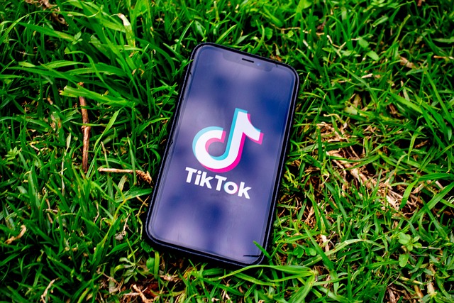 Download Vidio TikTok Tanpa Watermark 2023, Terbaru dan Lebih Mudah