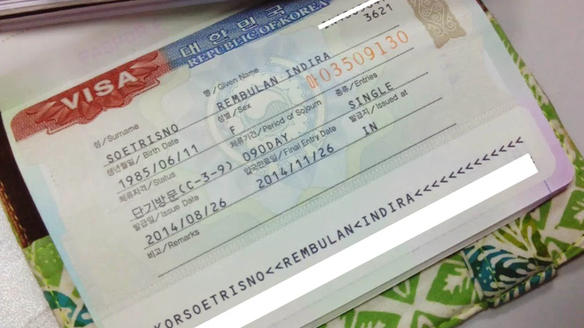 Syarat dan Cara Mengajukan Visa Korea Terbaru 2023 (FOTO : UNIMMA.FM)
