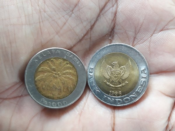 Koin Rp1000 Kelapa Sawit tahun 1996 Diyakini Bisa Membawa Keberuntungan