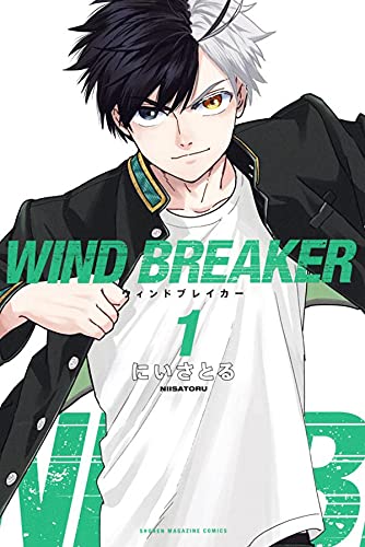 Webtoon 'Wind Breaker' Ada Adaptasi Anime, Cek Sinopsisnya!