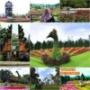 Destinasi Wisata Di Taman Bunga Nusantara (net)