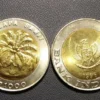 Sekeping Koin Rp1000 Tahun 1996 Bisa Kebeli Daihatsu Terios, Ingin Tau Caranya Yuk Intip!