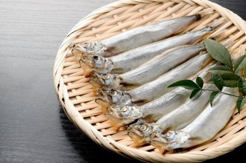 Fakta Ikan Shisamo Makanan Kesukaan Rayyanza