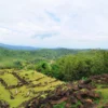 Daftar Tempat Wisata Hidden Gem di Cianjur, Cocok Buat Libur Lebaran Nanti