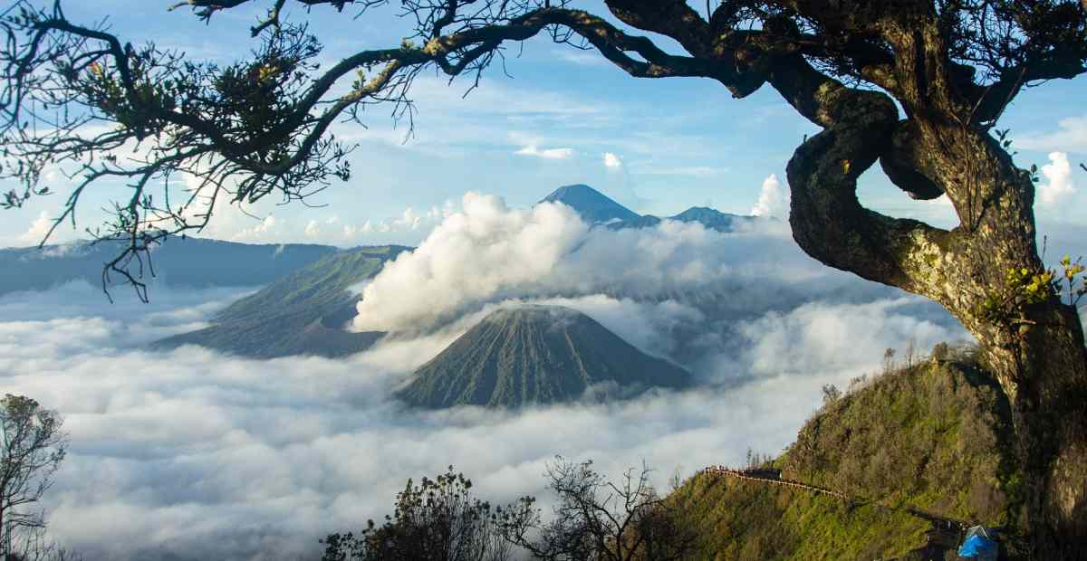 Wisata Gunung Bromo: Panorama Khas Jawa Timur
