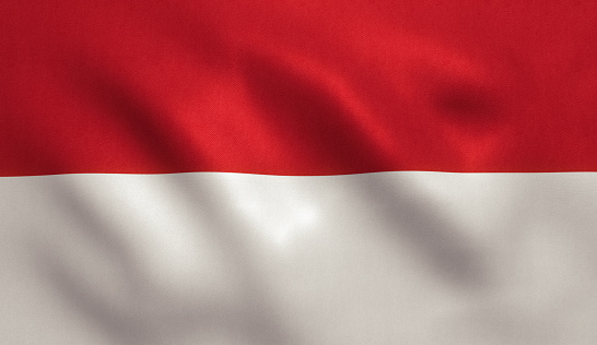 Viral video bendera merah putih di DPRD Cianjur sobek-sobek