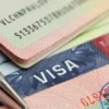 Mengenal Visa Protection dan Keuntungannya