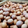 Harga Telur dan Daging Ayam di Cianjur Terus Meroket