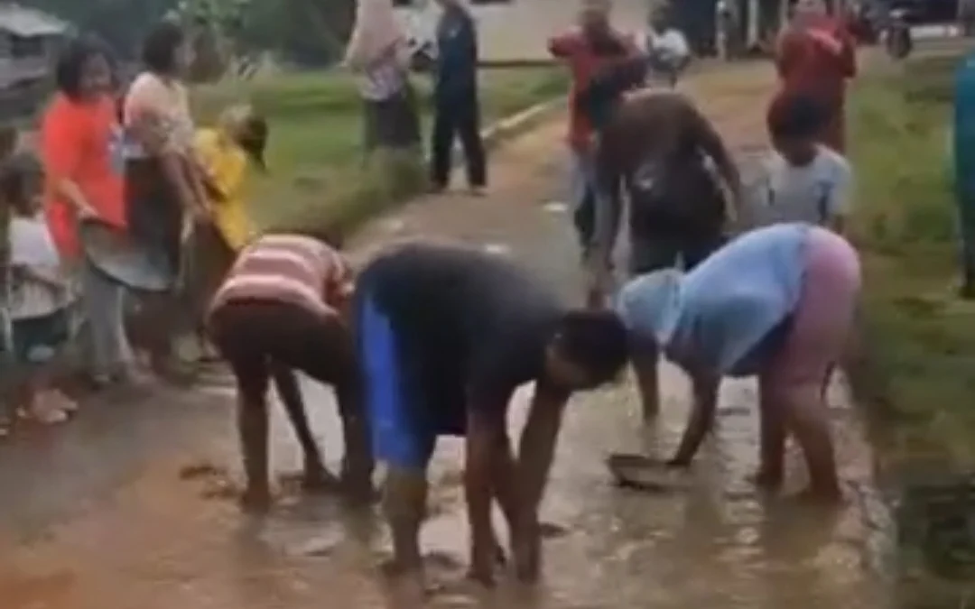 Aksi warga Cianjur menangkap ikan lele di kubangan air jalan viral di media sosial.