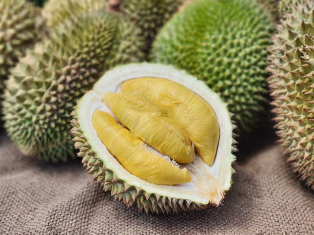 Wow Ramen Unik Malaysia Terbuat Dari Durian, Mau Coba?