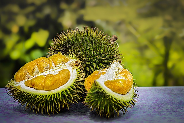 7 Alasan Kenapa Sebagian Orang Bisa Benci Buah Durian!
