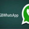 Cara Download WhatApp GB Mudah dan Gratis