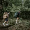 Kegiatan Pendakian di Gunung Pangrango Kembali Ditutup Setelah Viral Pendaki Buang CD Kotor