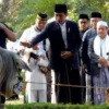 8 Nama Unik Sapi Kurban Presiden Jokowi