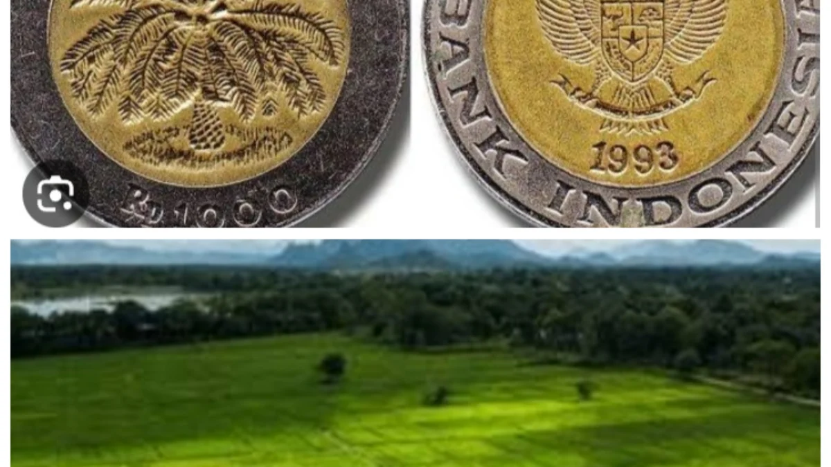 Bisa Beli Sawah Hingga Hektaran Hanya Dengan Koin Kuno Rp1000