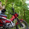 Honda Luncurkan Bebek Trail CT125, Ciptakan Kesan Petualangan!