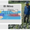 Fenomena El Nino