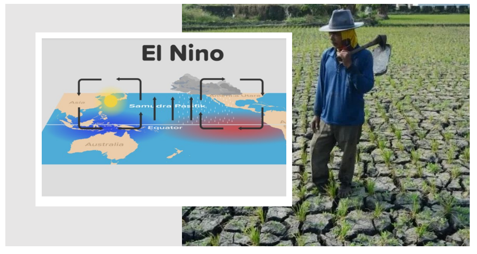 Fenomena El Nino