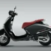 Honda-Scoopy-Stylo-120cc