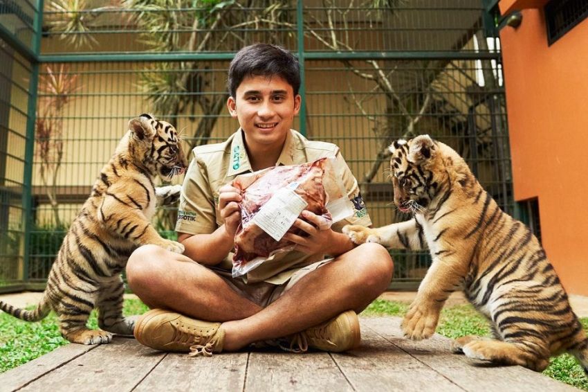 Kontroversi Kematian Masal Harimau Milik Alshad Ahmad