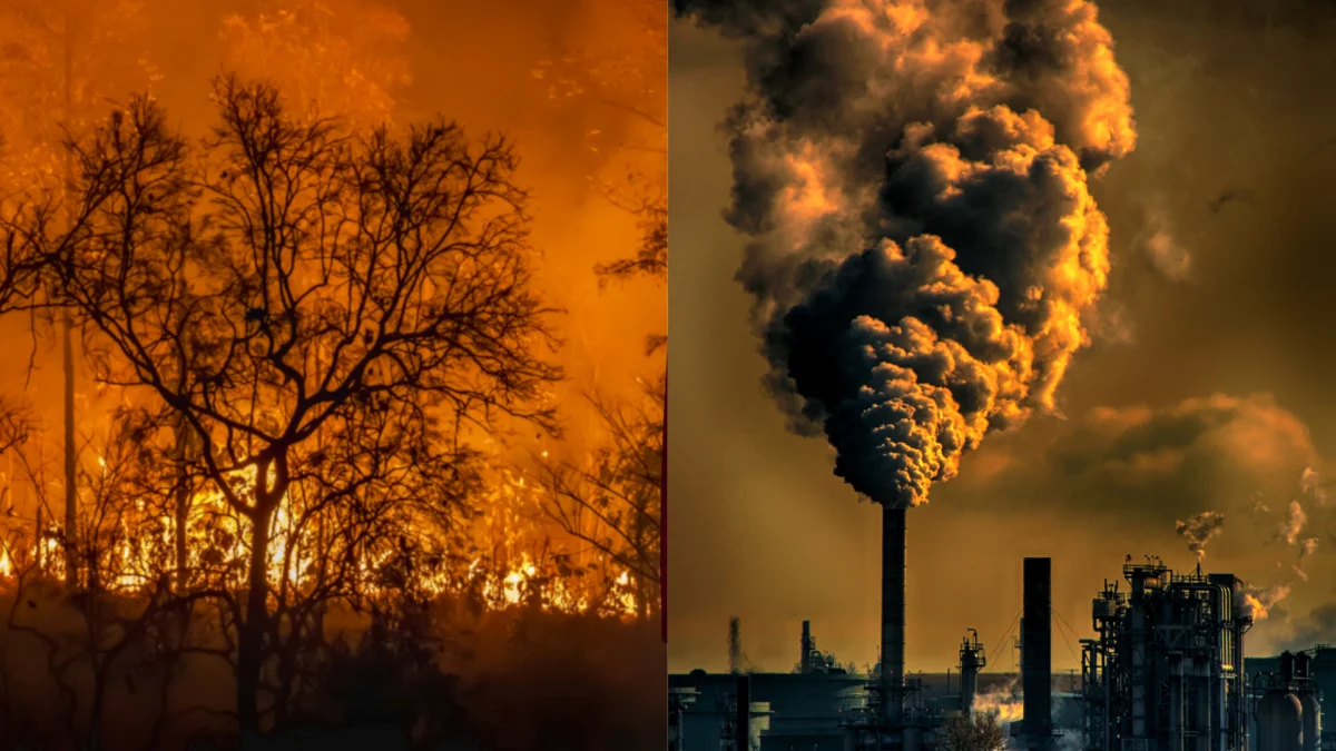 Hubungan yang Kian Memburuk Dari Perubahan Iklim dan Kebakaran