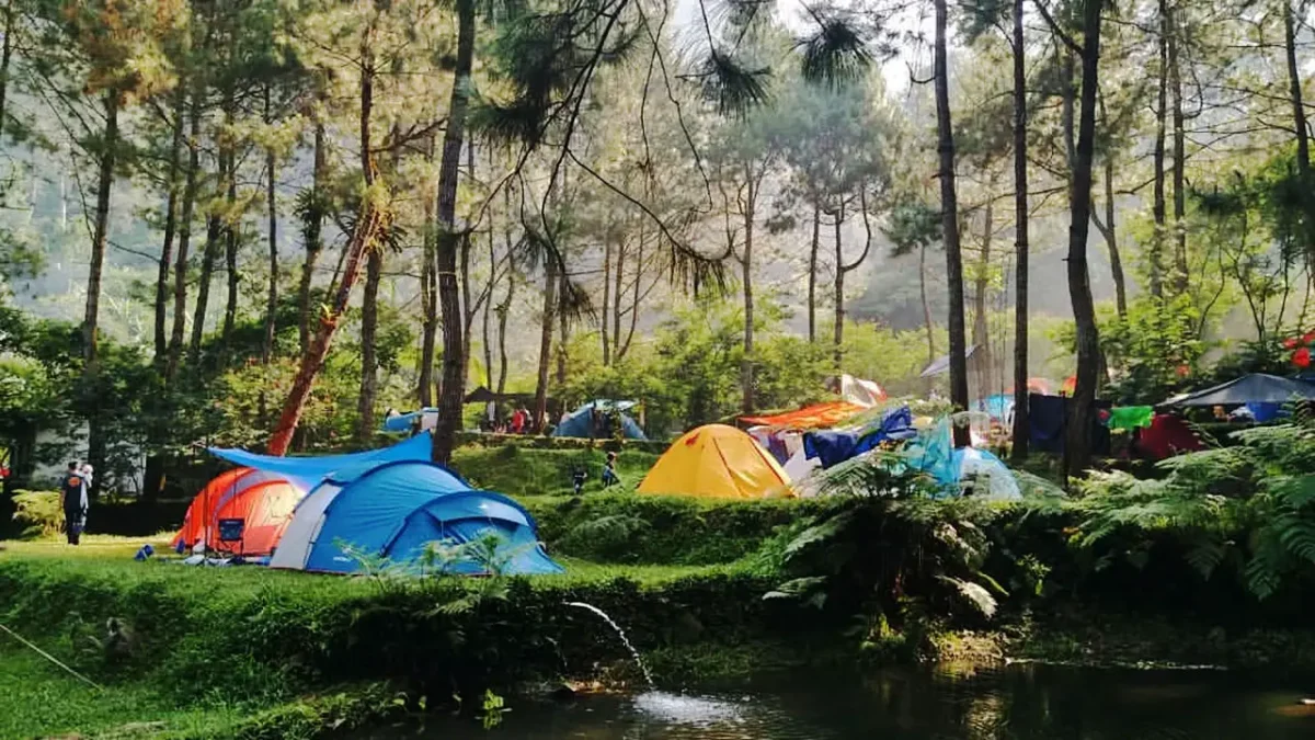 Tempat Camping Terbaik di Bogor dengan Pemandangan Menakjubkan