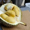 Tempat makan durian Bogor (Ilustrasi Pixabay)