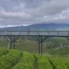 Jembatan kaca Highland Bandung yang sedang hits