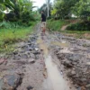 Rusak Parah, Jalan Kabupaten Sepanjang 9 Kilometer di Takokak Cianjur