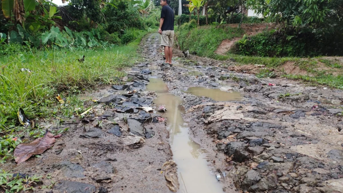 Rusak Parah, Jalan Kabupaten Sepanjang 9 Kilometer di Takokak Cianjur