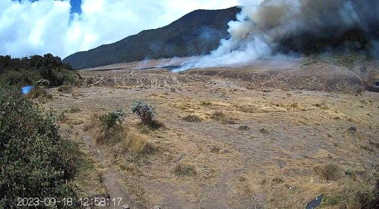Kebakaran Sabana Suryakencana Gunung Gede Pangrango