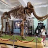Museum Geologi, Wisata Edukasi Ramah Anak di Kota Bandung