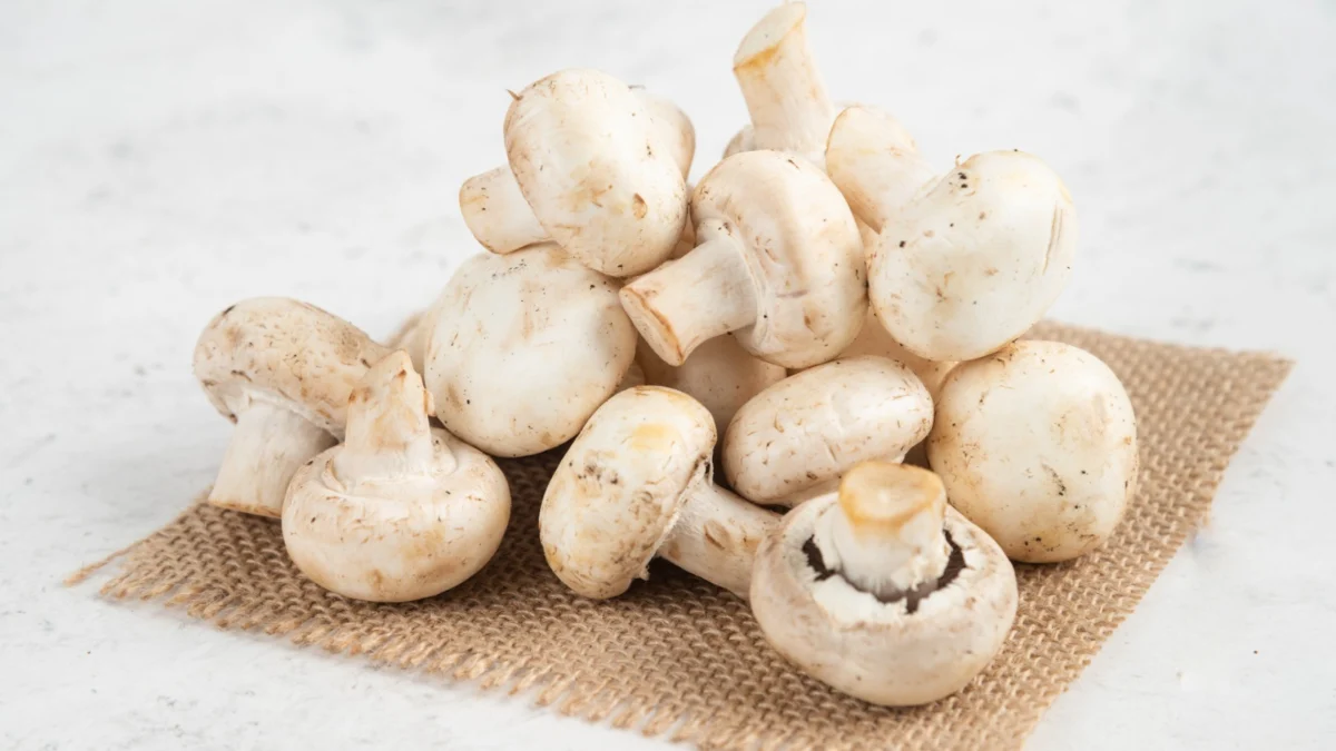 manfaat jamur putih