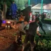 DLH Cianjur akan Koordinasi dengan PUTR, Antisipasi Terjadinya Kembali Pohon Tumbang Akibat Cuaca Ekstrem
