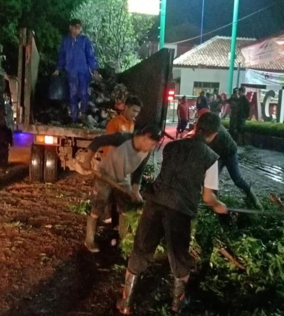 DLH Cianjur akan Koordinasi dengan PUTR, Antisipasi Terjadinya Kembali Pohon Tumbang Akibat Cuaca Ekstrem