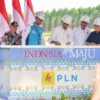 Presiden Jokowi Groundbreaking Pembangunan PLTS PLN 50 MW di IKN Nusantara yang Ramah Lingkungan. (ist)