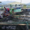 50 Ton Ikan Lepas Akibat 190 KJA di Jangari Hancur . (je)